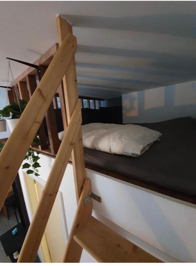 modern studio with mezzanine Le Mont-Sur-Lausanne Buitenkant foto