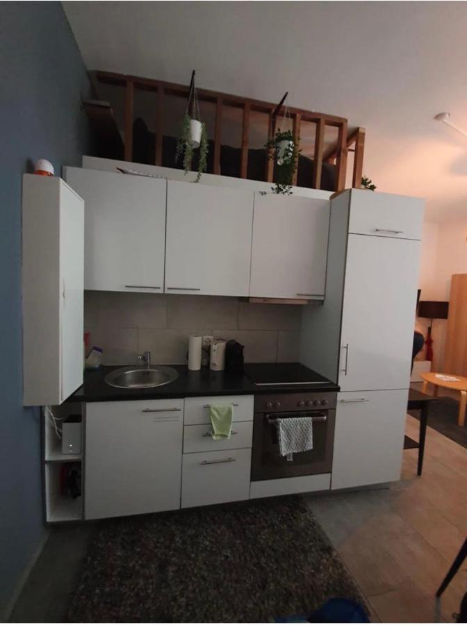 modern studio with mezzanine Le Mont-Sur-Lausanne Buitenkant foto