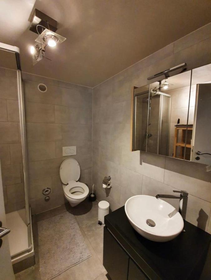 modern studio with mezzanine Le Mont-Sur-Lausanne Buitenkant foto