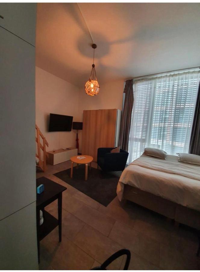 modern studio with mezzanine Le Mont-Sur-Lausanne Buitenkant foto